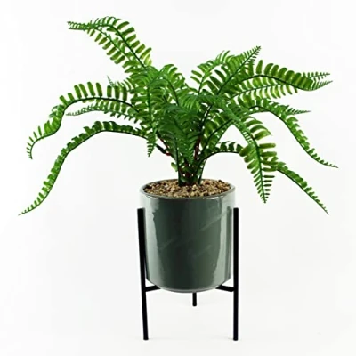Image of Leaf Artificial Realistic Natural Look Moss Fern in Pot,40cm