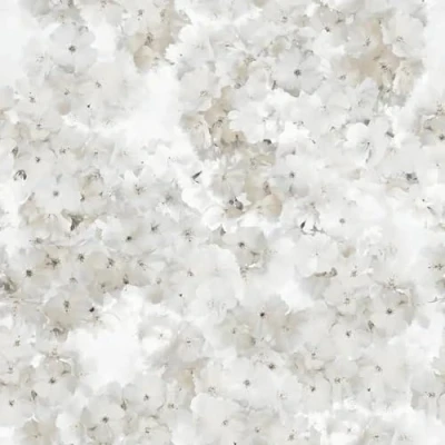 Image of Apple Blossom Natural Wallpaper Floral Flowers Naturistic Petals Glamorous Trendy Stylish Feature Wall