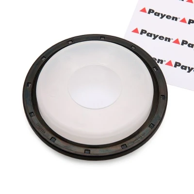 Image of 9400127459 Crankshaft Seal PAYEN NA5192 PTFE (polytetrafluoroethylene) LAND ROVER: Freelander 2 Off Road, SUZUKI: Grand Vitara 1 SUV
