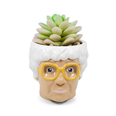 Image of Silver Buffalo The Golden Girls Sophia Face Mini Ceramic Planter With Faux Succulent 3 Inches