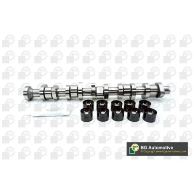 Image of 038109309A, 038109309B, 038109309C, 38109309A, 38109309B Camshaft Kit BGA CS9650K Exhaust Side, Intake Side VOLKSWAGEN: Transporter 5, Multivan 5 (7HM