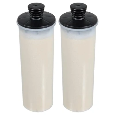 Image of SPARES2GO Descaling Filter Cartridge for Karcher SC2 SC3 127V BR SC3MX Upright Easyfix Plus Steam Cleaner (Pack of 2)