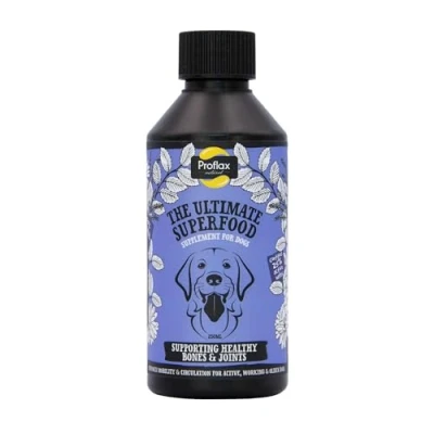 Image of Proflax Natural Bone &amp; Joint Oil Supplement for Dogs 250ml Contains Superfoods Omega 3 6 Pain Relief Supports Physical and Emotional Health Fast Acting Vet Approved