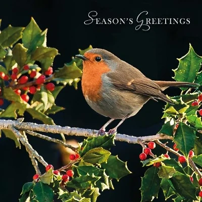 Image of Paper Themes 10 pack of Luxury Christmas Cards with Envelopes (Robin in the Hedgerow)