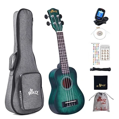 Image of Winzz Kids Adults Ukulele Soprano Beginner Kit, 21 Inches Set Blue green with 8 Accessories, Unique Color Design