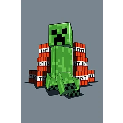Image of Jerry Fabrics Minecraft Blanket for Kids Boys Bedroom Accessories Fleece Throw All Seasons