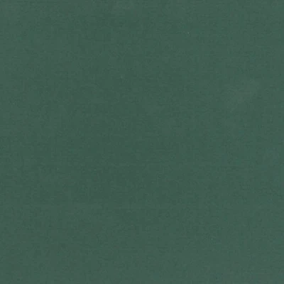 Image of Clairefontaine Ref 93498C Ingres Pastel Coloured Paper (Pack of 25 Sheets) 50 x 65cm, 130gsm Drawing Paper, Deep Green Suitable for All Dry Techniques