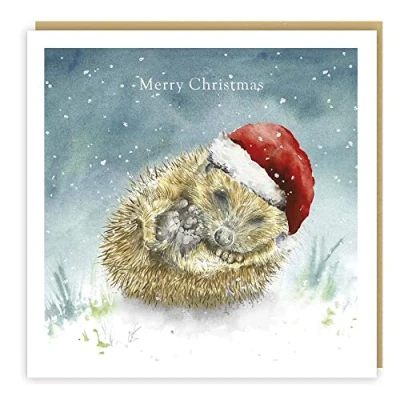 Image of Tracks Publishing Open Artistic Christmas Greeting Card &#039;Dreaming of Christmas&#039; Sleeping Hedgehog Illustration From The Love Country Range With A Gold Foil Finish