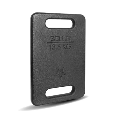 Image of Yes4All 60DA Cast Iron Rucking Weight Plate for Backpack, 13,6 KG 30 POUND, Black