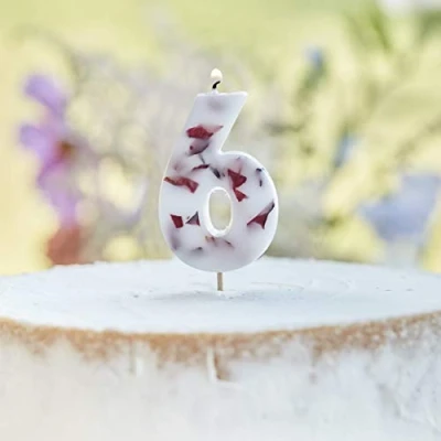 Image of Ginger Ray Pressed Petal Number 6 Birthday Party Candle