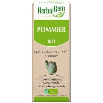 Image of HerbalGem Organic Apple Tree 30ml