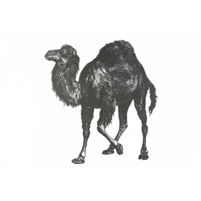 Image of Half a Donkey The Retro Style Camel Large Cotton Tea Towel