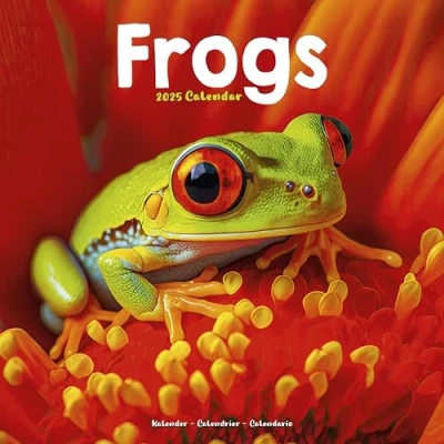 Image of Frogs 2025 Square Wall Calendar Animal, Reptile Calendar: Original Avonside Kalender [Mehrsprachig] [Kalender]