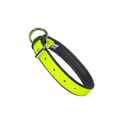 Image of Julius K9 IDC Lumino Phosphorescent Collar, 25 mm x 70 cm, Neon