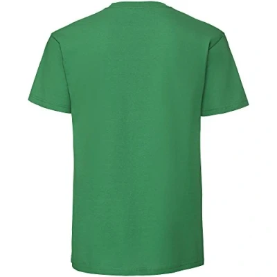Image of Fruit of the Loom Mens Ringspun Premium Tshirt (M UK) (Kelly Green)