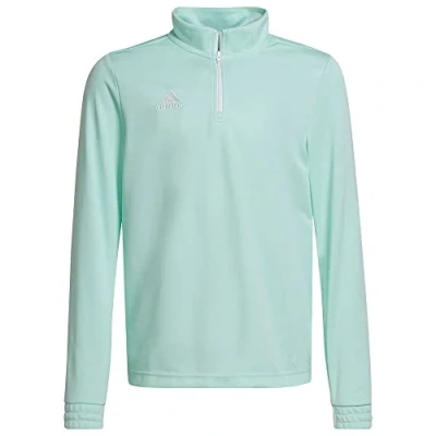 Image of adidas Unisex Kids Entrada 22 Training Top, Clear Mint, 11 12 Years