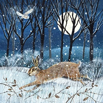 Image of Museums &amp; Galleries Pack of 8 Artistic Charity Christmas Cards Hare, Moon and Owl Lovely Illustration a Winter Woodland Scene by Lucy Grossmith 1 Design, Multi, 123 x 123mm