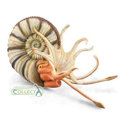 Image of CollectA Pleuroceras Ammonite Figurine Collectable Toy