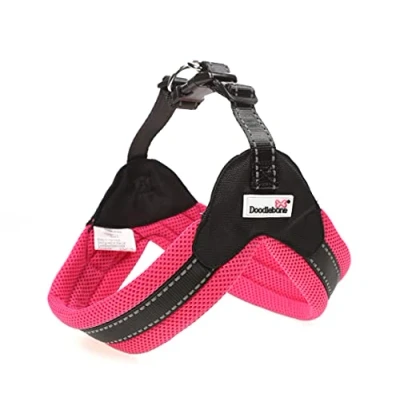 Image of Doodlebone Boomerang Dog Harness, Fuchsia, 8 10