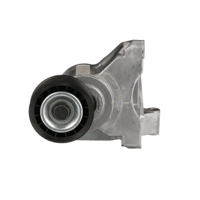 Image of 1100693, 1114044, 1152890, 98MF3C631CE, 98MF3C631CF Tensioner Pulley GATES FleetRunner Micro V Kit T38316 FORD: Focus Mk1 Hatchback