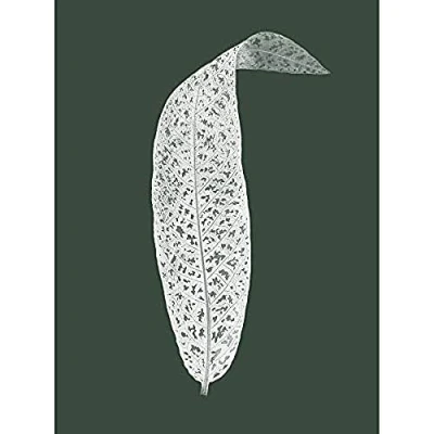 Image of Wee Blue Coo Botanics Hunter Green Leaf Unframed Art Print Poster Wall Decor 12x16 inch