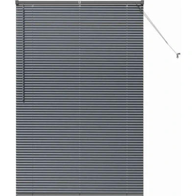 Image of Vidaxl with Curtains Other Manual Dark gray 120 x 175 cm Aluminium