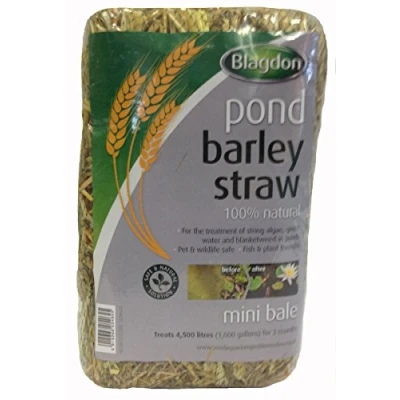 Image of Blagdon Pond Barley Straw Bale, Small, Clears Algae, Green Water and Blanketweed, Natural, for Ponds up to 4,500 Litres