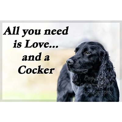 Image of Black Cocker Spaniel Fridge Magnet Gift All you need is love...and a