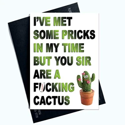 Image of Funny Birthday Card Friend Humour Cards Rude Cactus Colleague Coworker Banter Joke Met Some Pricks PC607