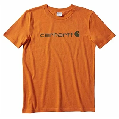 Image of Carhartt Boys&#039; Knit Short Sleeve Crewneck Logo T Shirt, Orange, Medium (10/12)