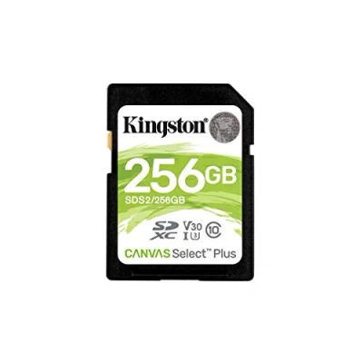 Image of Kingston 256 GB SDXC Class 10 Flash Memory Card SDS2