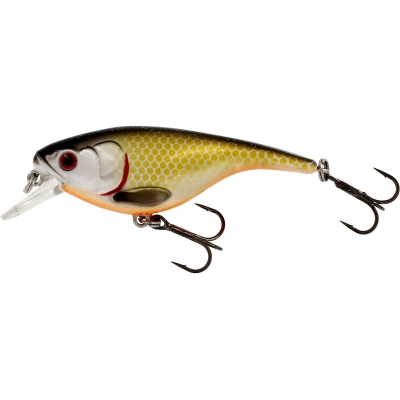 Image of Westin BabyBite SR Crankbait 6,5cm Official Roach Hard lure