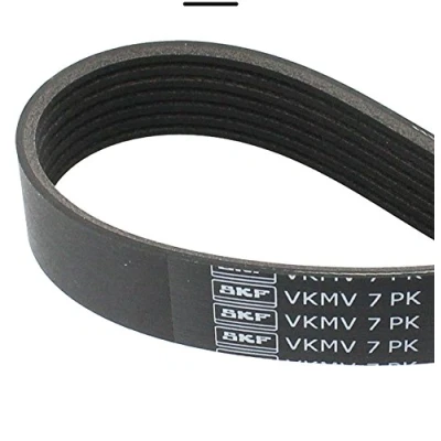 Image of PQS101520 V ribbed belt SKF VKMV 7PK1815 1815mm 7 HONDA: CR 3