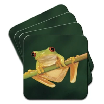 Image of Red Eye Tree Frog Set of 4 Coasters