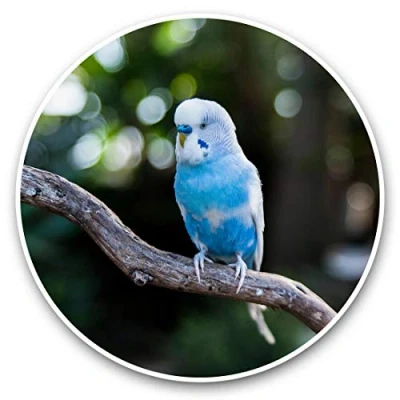 Image of Awesome Vinyl Stickers (Set of 2) 30cm Blue Parakeet Parrot Bird Fun Decals for Laptops,Tablets,Luggage,Scrap Booking,Fridges #44380