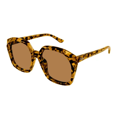Image of Chloé Woman CH0280S 007 Sunglasses Acetate Havana Brown Squared
