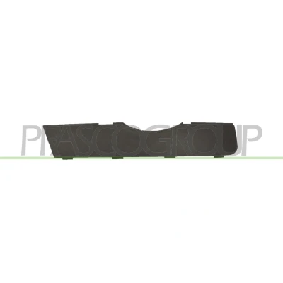 Image of 8U0807380B9B9 Trim /Protection Strip, radiator grille PRASCO AD8101243 Right Front with preparation for back up alarm