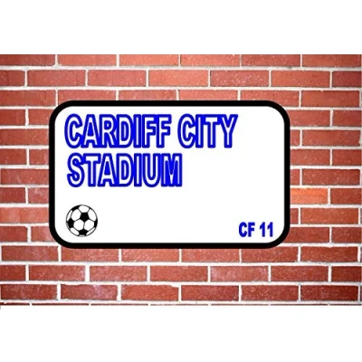 Image of Inga Cardiff Bluebirds Metal Door Sign Decoration Props Plaque 8X12 inch