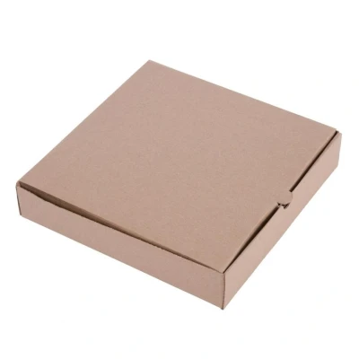 Image of Fiesta Green Compostable Plain Pizza Boxes 9 inch (Pack of 100), Kraft Brown, Size: 45(H)x237(W)x237(D)mm, Cardboard for Takeaway Food, Breathable Design Keeps Pizzas Crispy, DC723