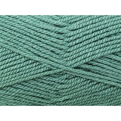 Image of Stylecraft Special Knitting Yarn Chunky 1725 Sage per 100 gram ball