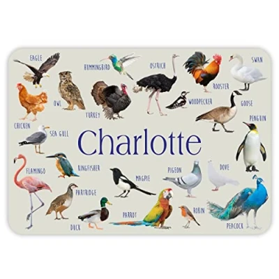 Image of Paper Themes Personalised Placemat for Kids (Birds)