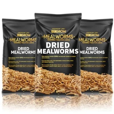 Image of Premium Dried Mealworms for Wild and Garden Birds High Protein Natural Bird Feed Perfect Robins, Blue Tits, More (5 Litre)