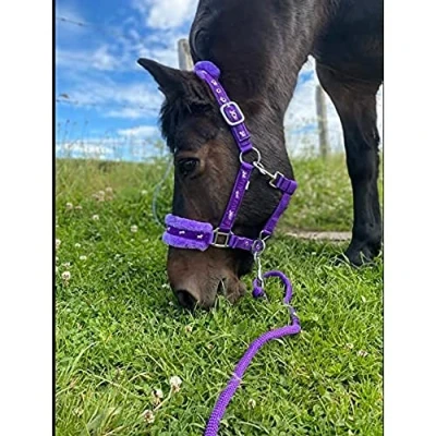 Image of Equipride Horse Print Padded Nylon Headcollars With Matching Lead Rope Purple (Full)