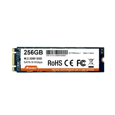 Image of MMOMENT 256GB SSD M.2 2280 SATA III 6Gb/s (Read up to 500MB/s)
