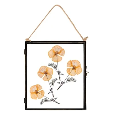 Image of 8&quot; x 10&quot; Black Hanging Metal Photo Frame By Nicola Spring