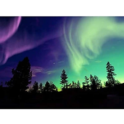 Image of Pine Trees Silhouette Northern Lights Unframed Art Print Poster Wall Decor 12x16 inch
