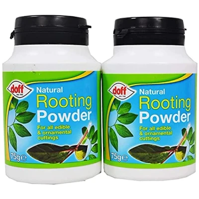 Image of Rooting powder 75gm Maintains strong healthy roots For all kinds of plants Natural Pack 2