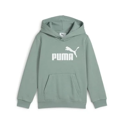 Image of PUMA ESS No. 1 Logo Hoodie FL PS