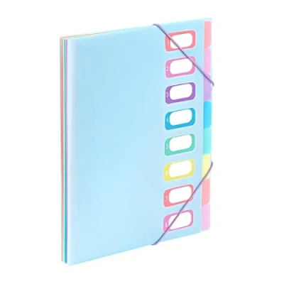 Image of Viquel A4 Document Folder with 8 compartments Rainbow Pastel