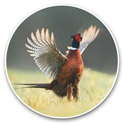 Image of Awesome Vinyl Stickers (Set of 2) 30cm Male Ringneck Pheasant Bird Fun Decals for Laptops,Tablets,Luggage,Scrap Booking,Fridges #45660